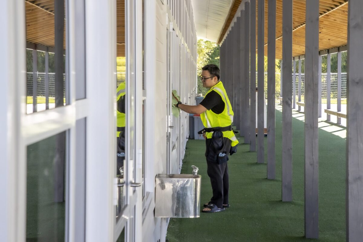 kowhai_building_wash_new_zealand_111